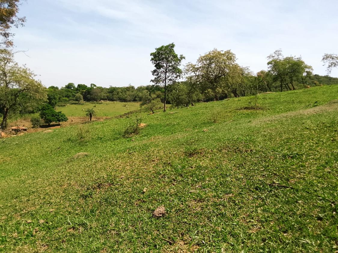 Terreno, 2300 m² - Foto 24
