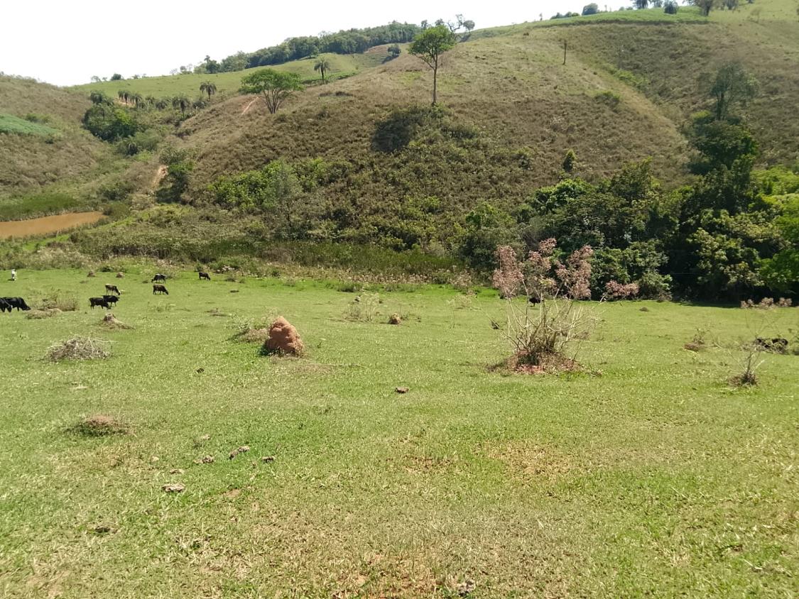 Terreno, 2300 m² - Foto 25