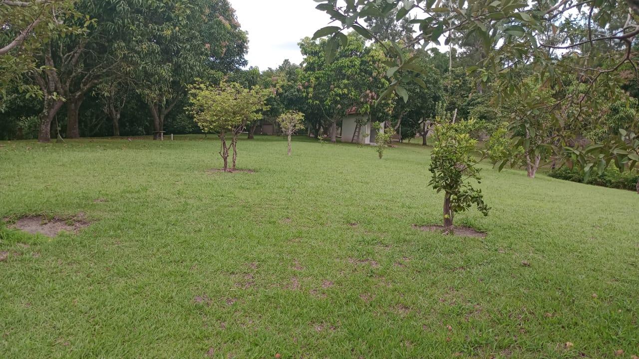 Chácara, 4 quartos, 1 hectares - Foto 11