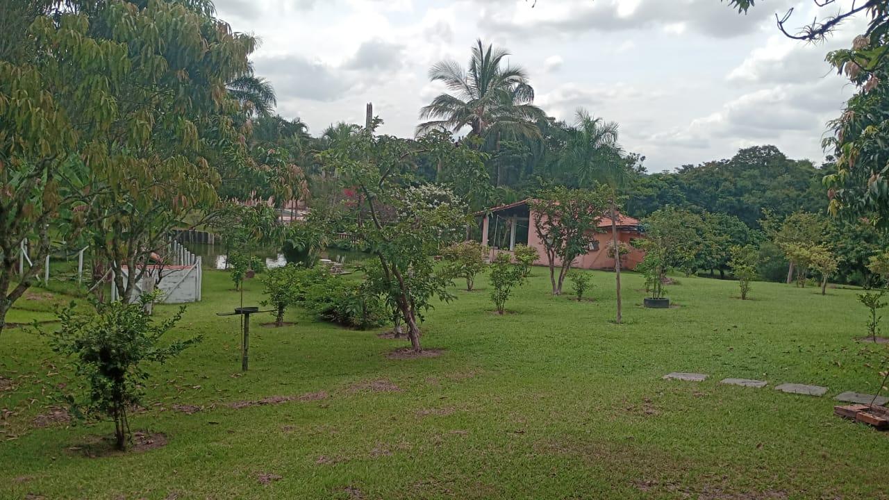 Chácara, 4 quartos, 1 hectares - Foto 16