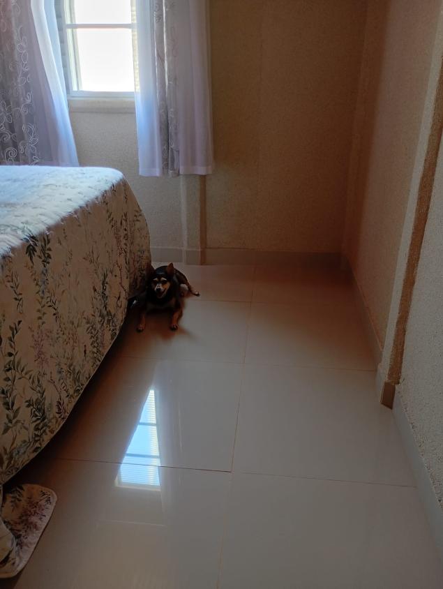 Casa, 2 quartos, 98 m² - Foto 23